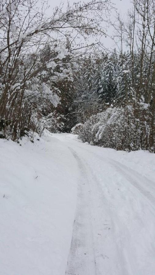 résidence vallée des lacs Le Tholy Exterior foto