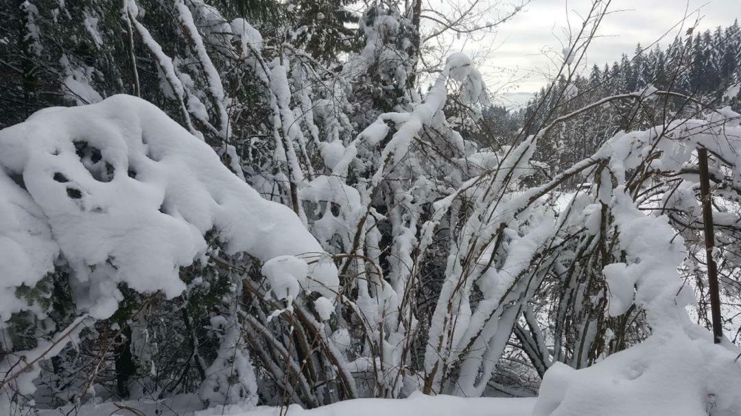 résidence vallée des lacs Le Tholy Exterior foto