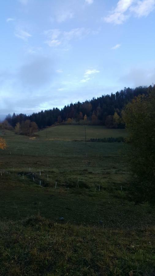 résidence vallée des lacs Le Tholy Exterior foto